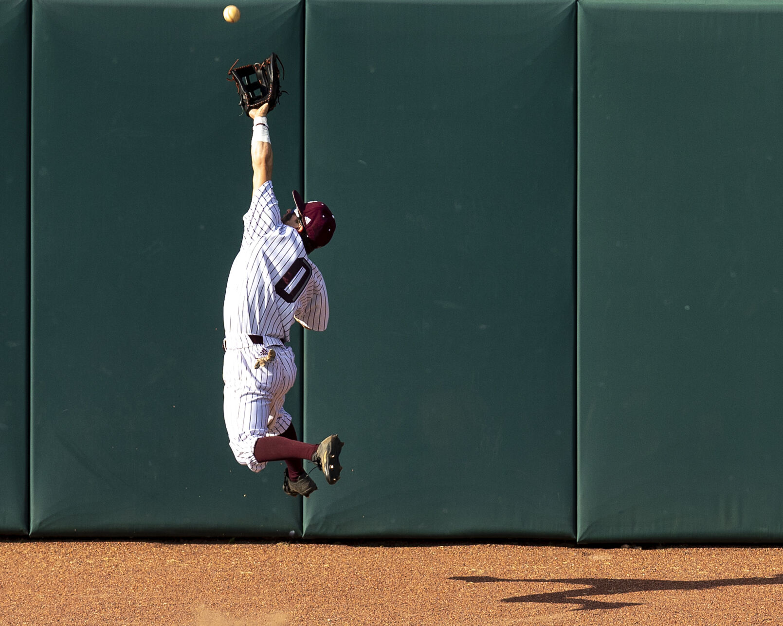 A&M Maroon & White